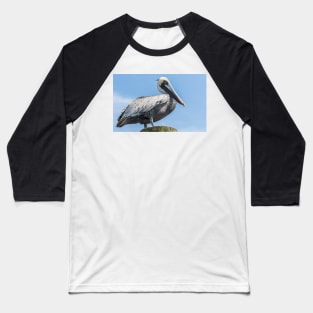 Brown pelican bird of prey Baseball T-Shirt